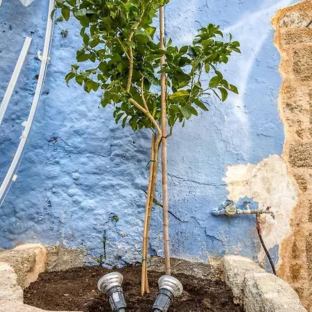 Апартаменты Fatma Hanoum Boutique *