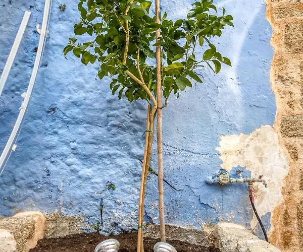 Apartment Fatma Hanoum Boutique *